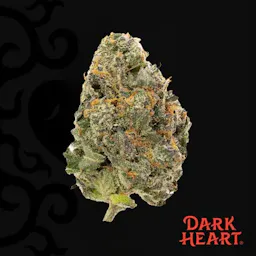 Icy Grapes (I) | Dark Heart | 14g Flower image (2/2)