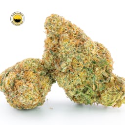 Mac 1 (H) | Perpetual | 3.5g - 3.5g image (3/3)