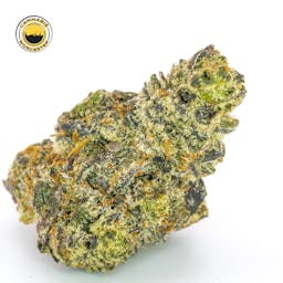 White Truffle () | Fernway | 3.5g Flower - 3.5g image (12/13)