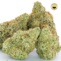 Miracle Alien Cookies 31 () | Fernway | 3.5g Flower - 3.5g image (15/16)