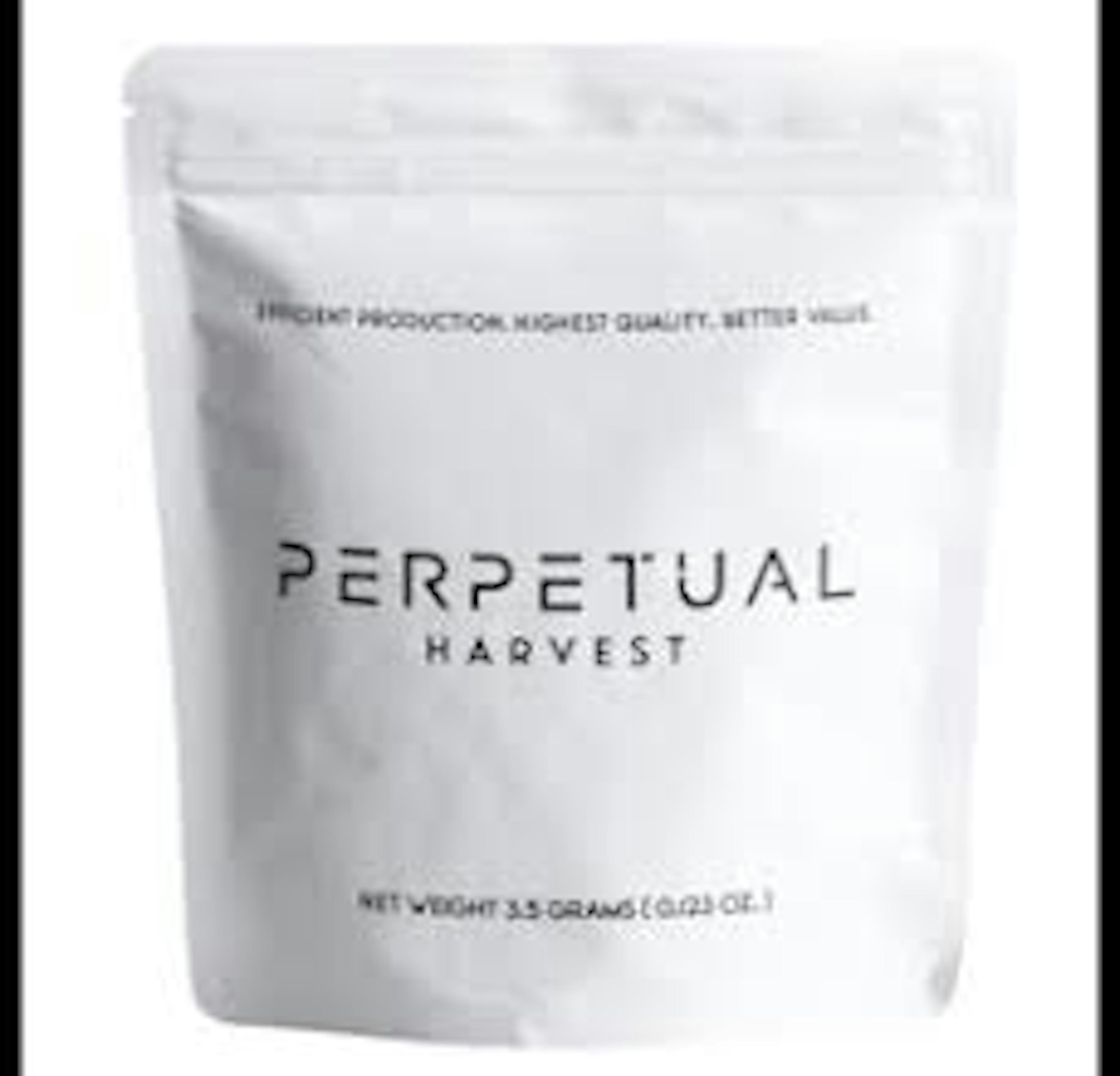 Vanilla Stink (H) | Perpetual | 7g Ready To Roll