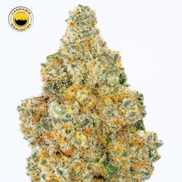 E-32 Trainwreck (SH) | House of Cultivar | 3.5g Flower