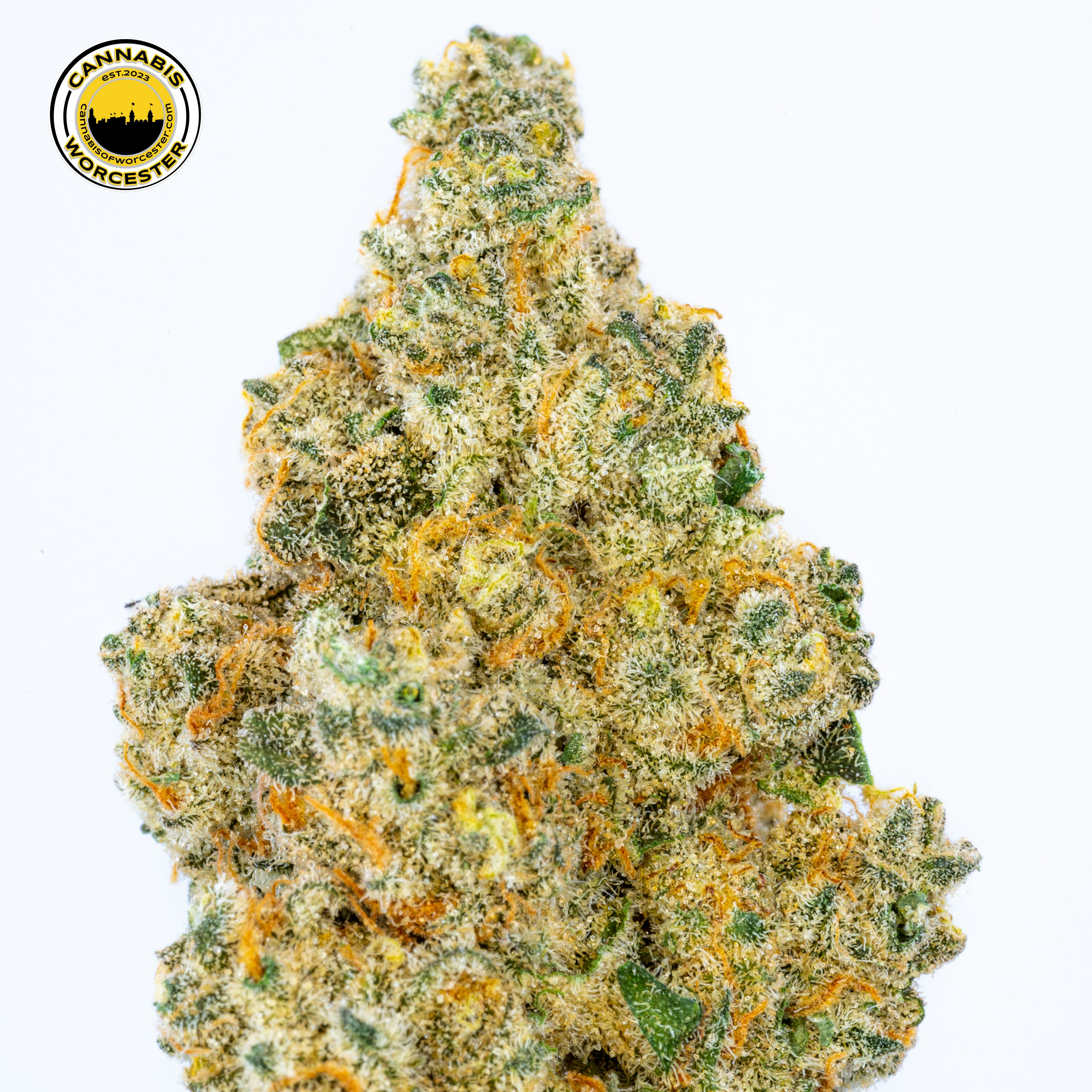 E-32 Trainwreck (SH) | House of Cultivar | 3.5g Flower