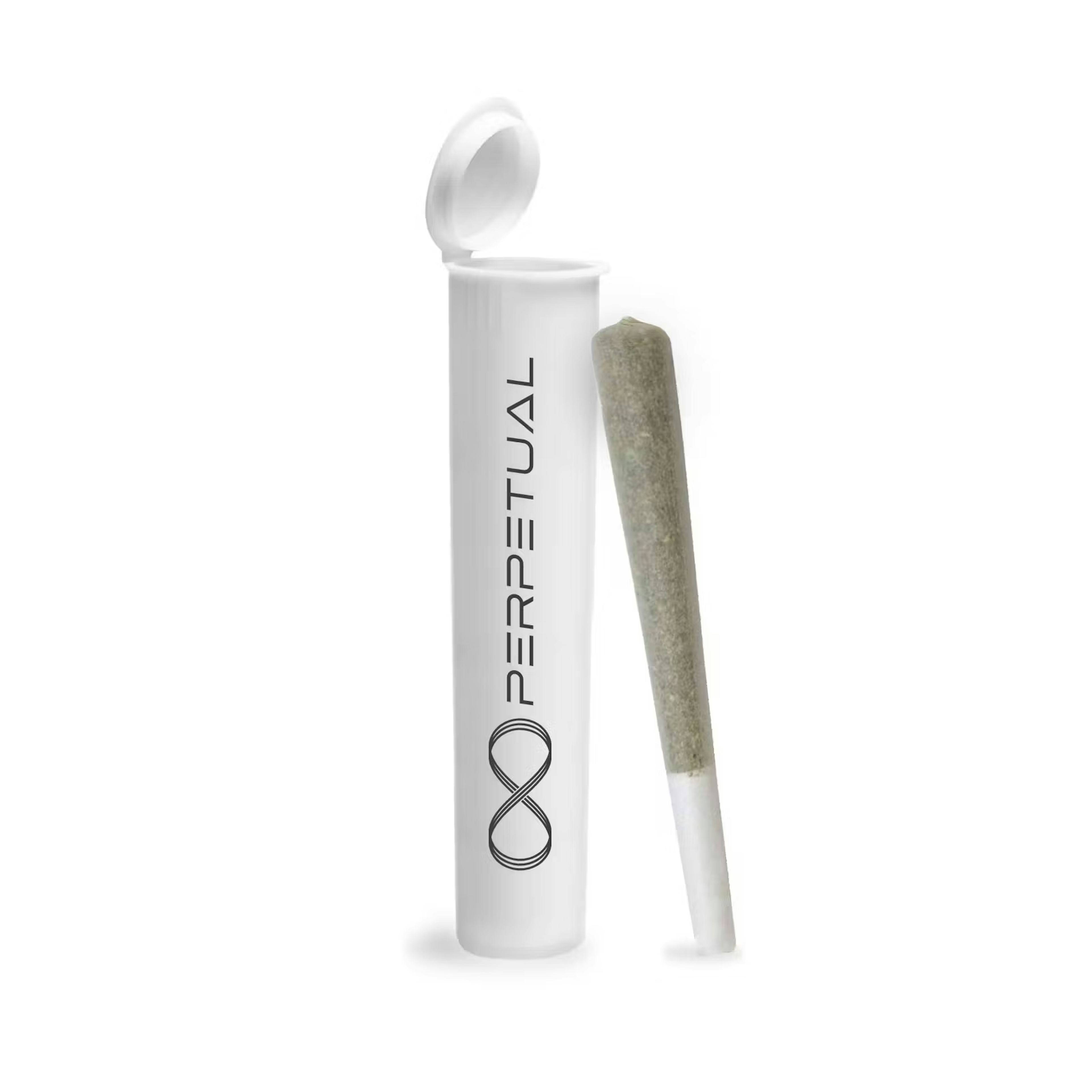 Gary Payton (H) | Perpetual | 1g Preroll