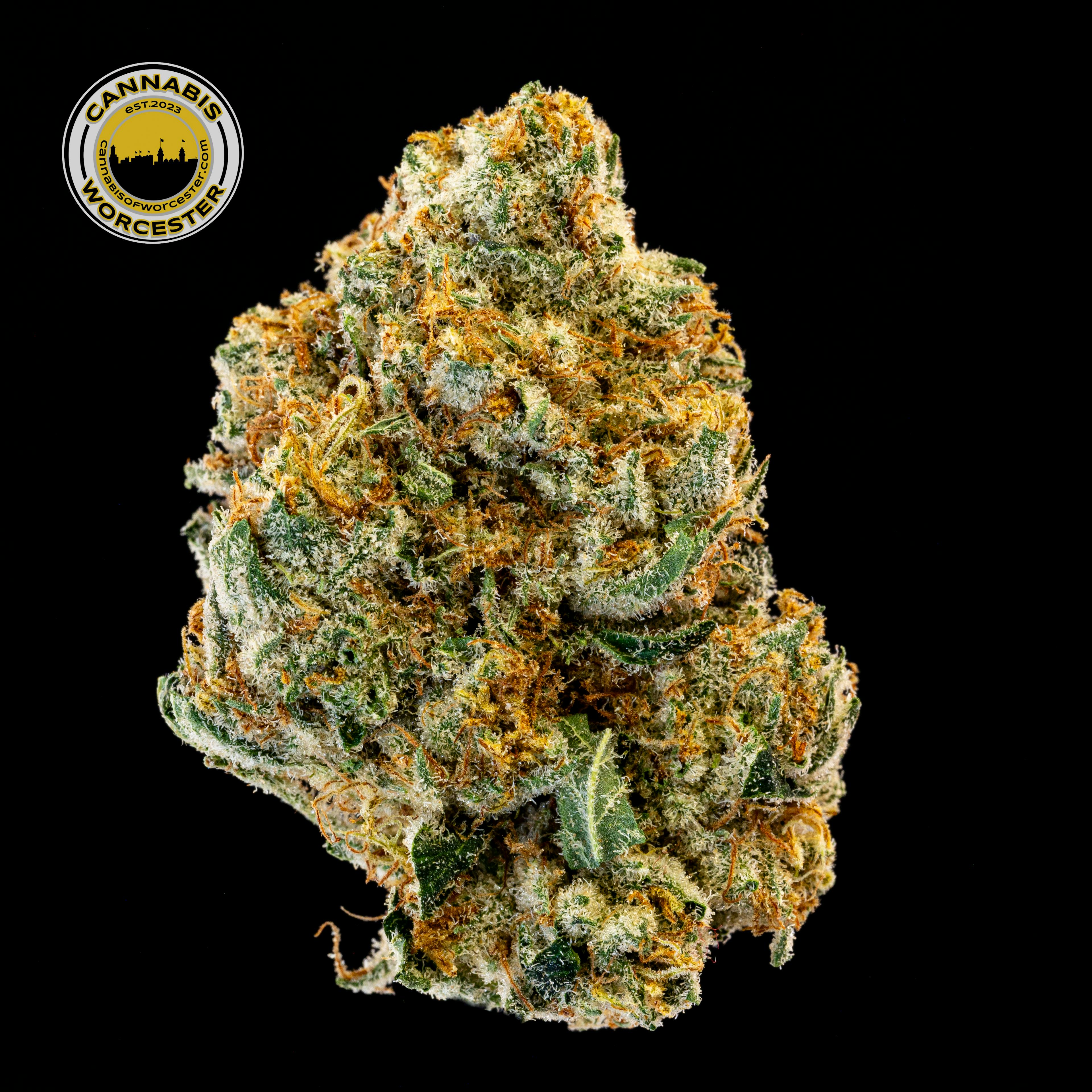 Angry Ginger (H) | Root & Bloom | 3.5g Flower