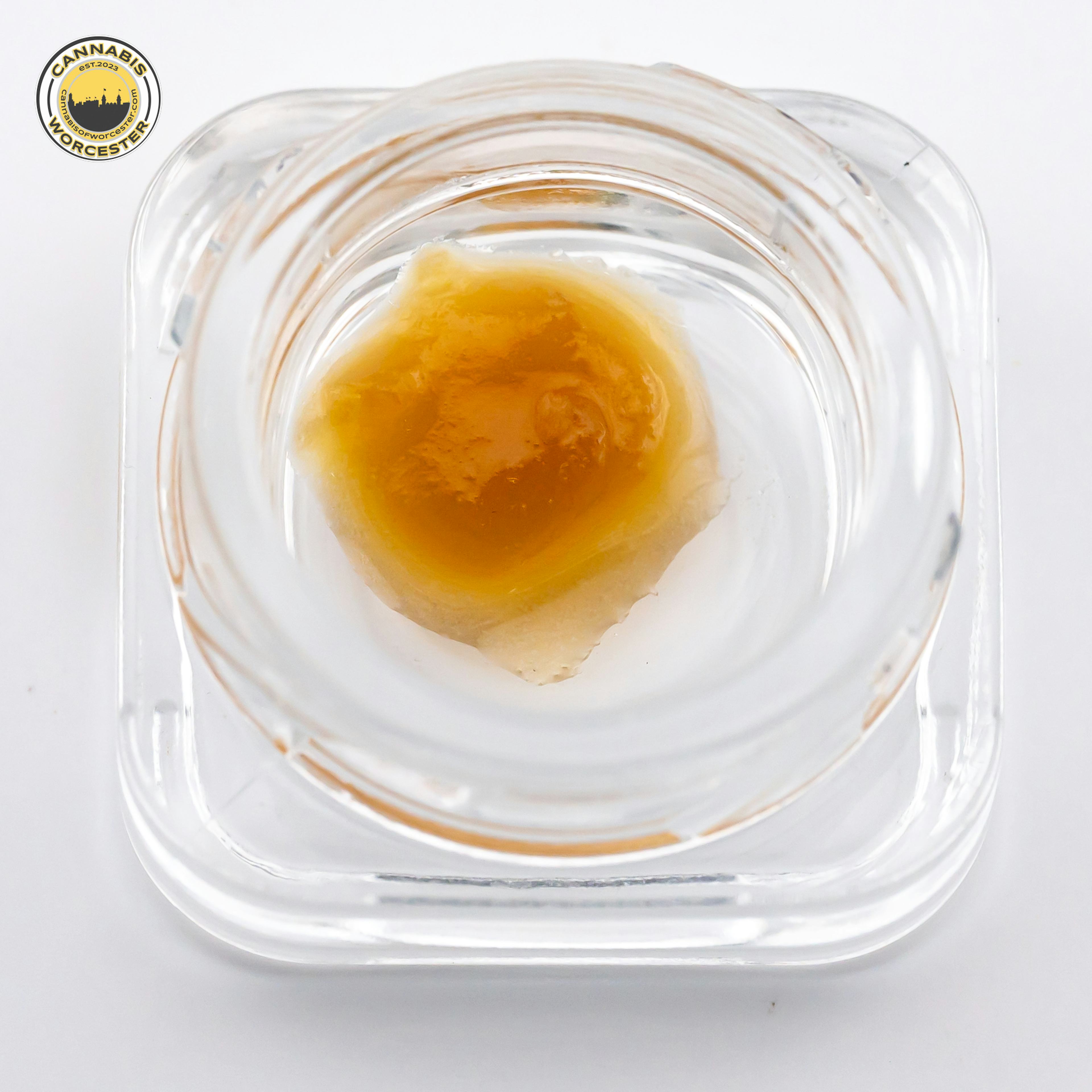 Pineapple Beignet (H) | FoxTail | 0.5g Concentrate - 