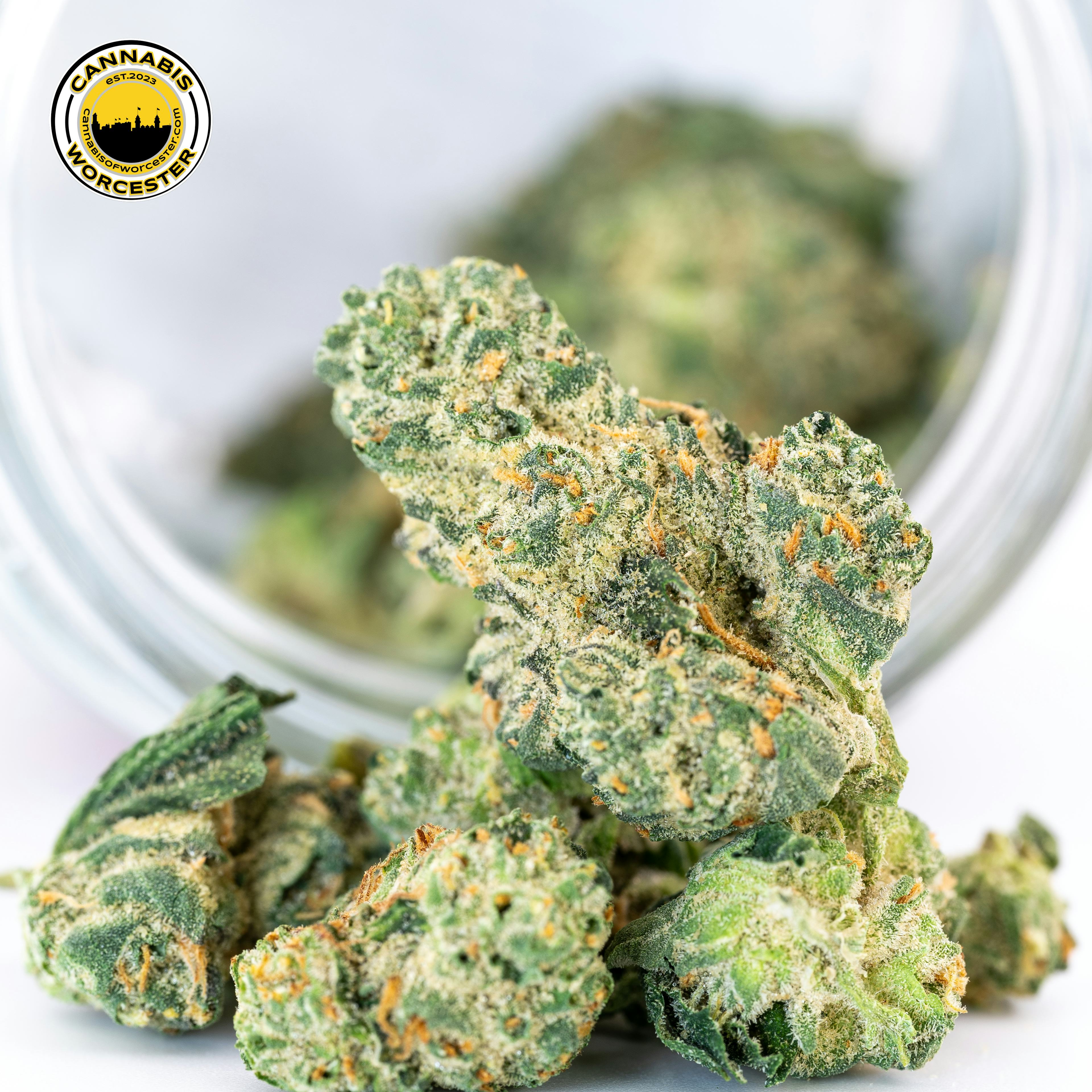 Rainbow Cake (H) | Perpetual | 3.5g - 3.5g image (1/2)