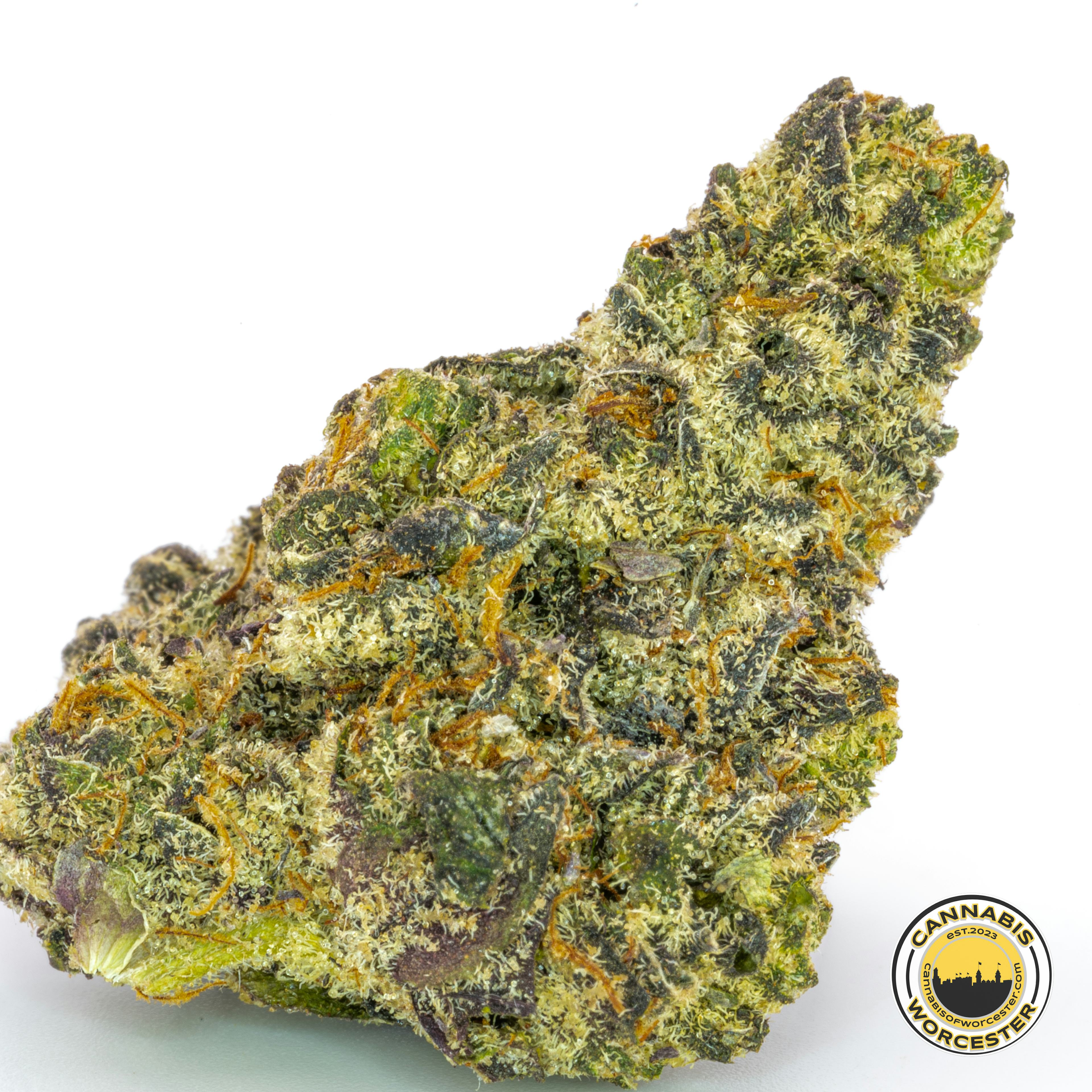 White Truffle (I) | Fernway | 3.5g Flower - 3.5g