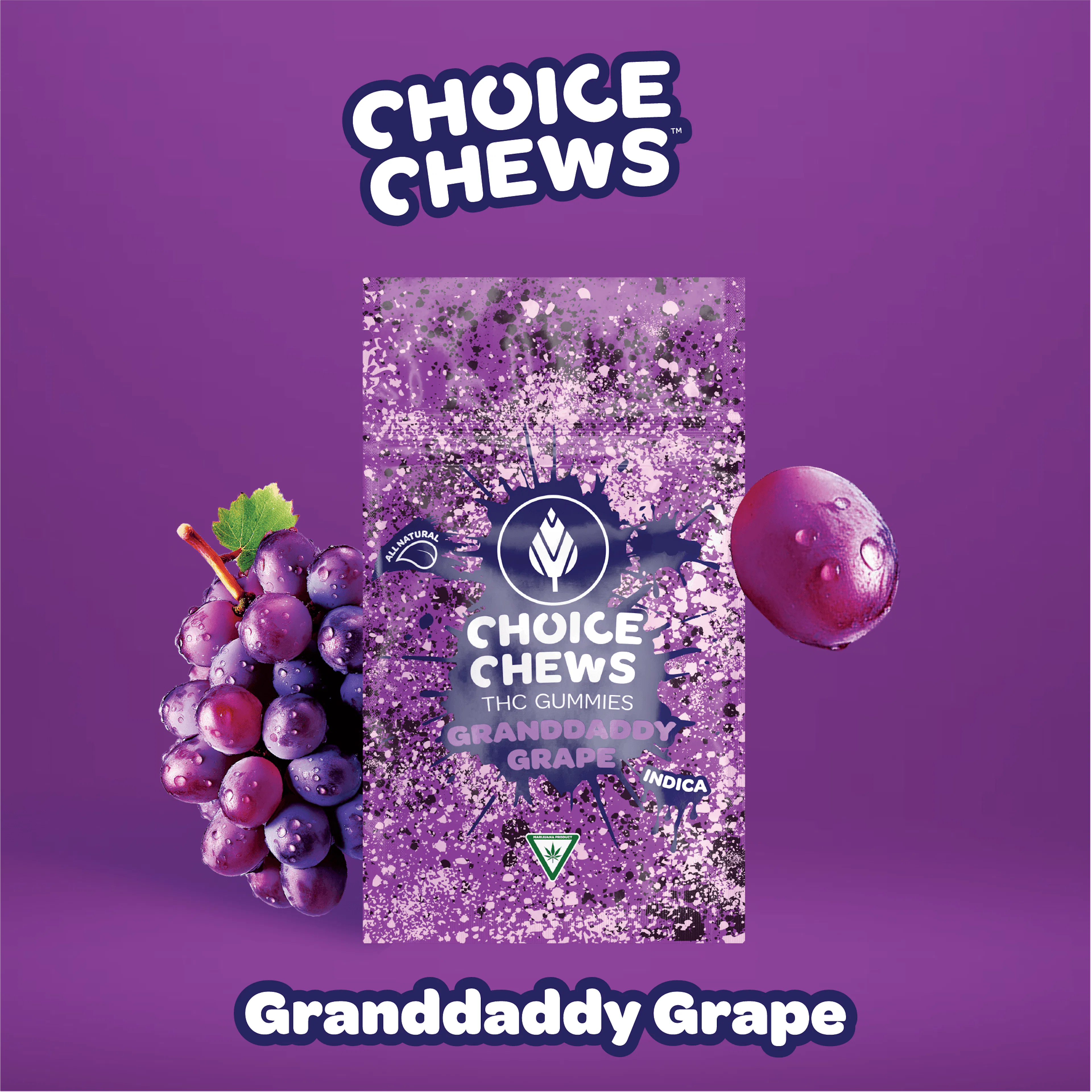 Granddaddy Grape (I) | Choice Chews | 100mg 20pk Gummies
