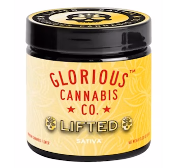 Super Silver Haze (S) | Glorious Cannabis Co. | 3.5g Flower