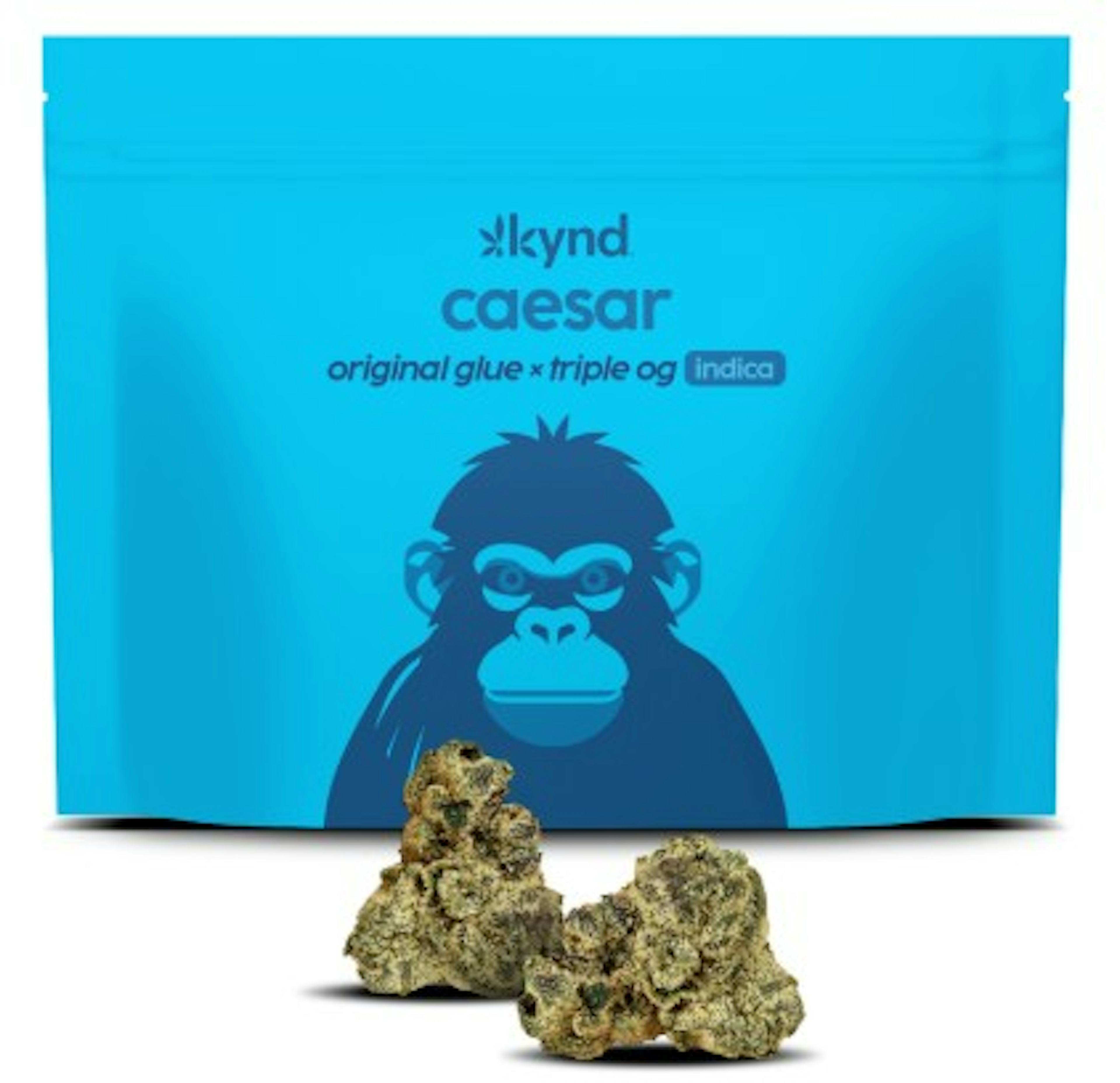 Caesar (I) | Kynd | 3.5g Flower