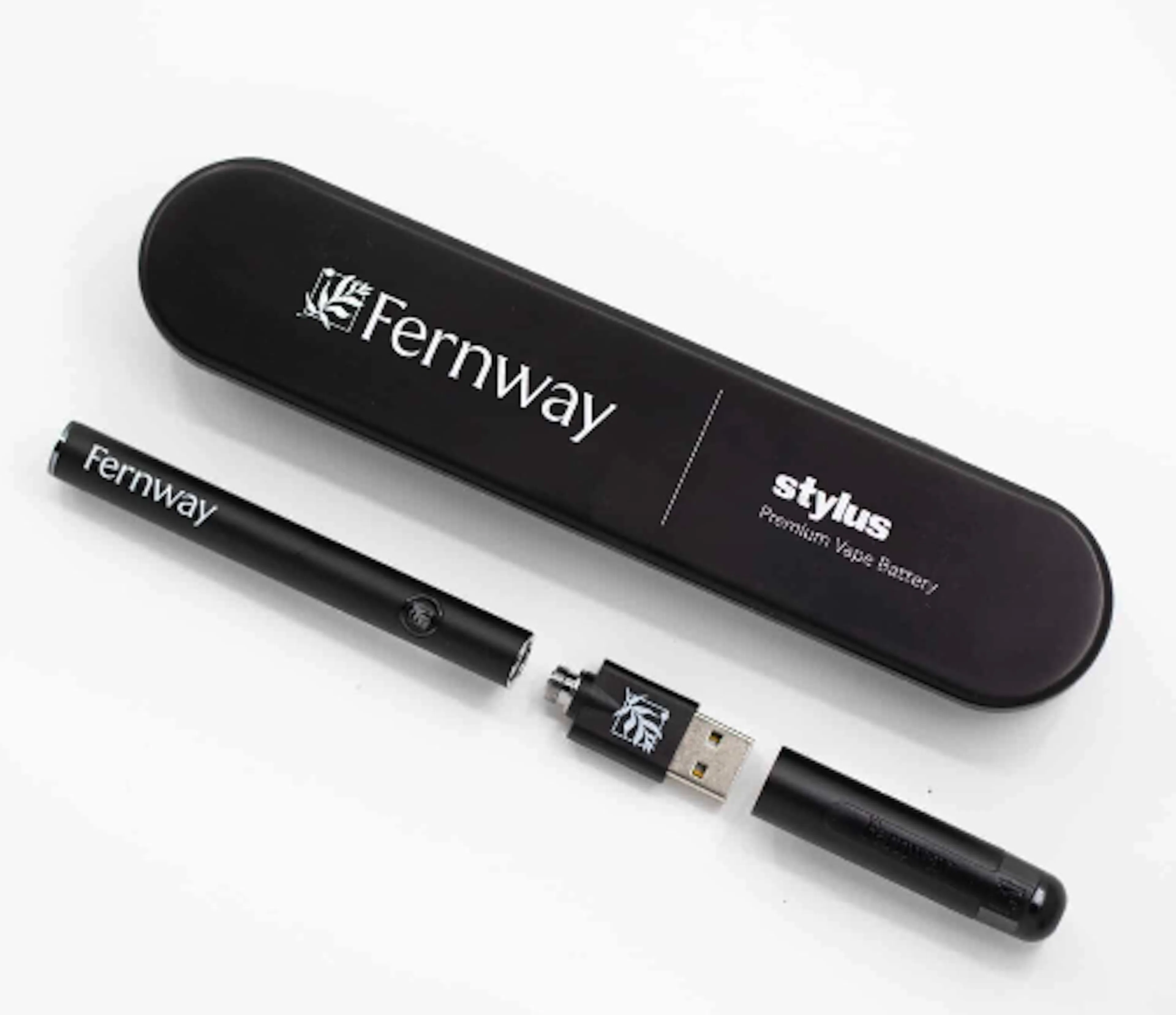 Fernway Stylus Battery