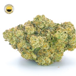 Mint Sherbert () | Fernway | 3.5g Flower - 3.5g image (5/12)