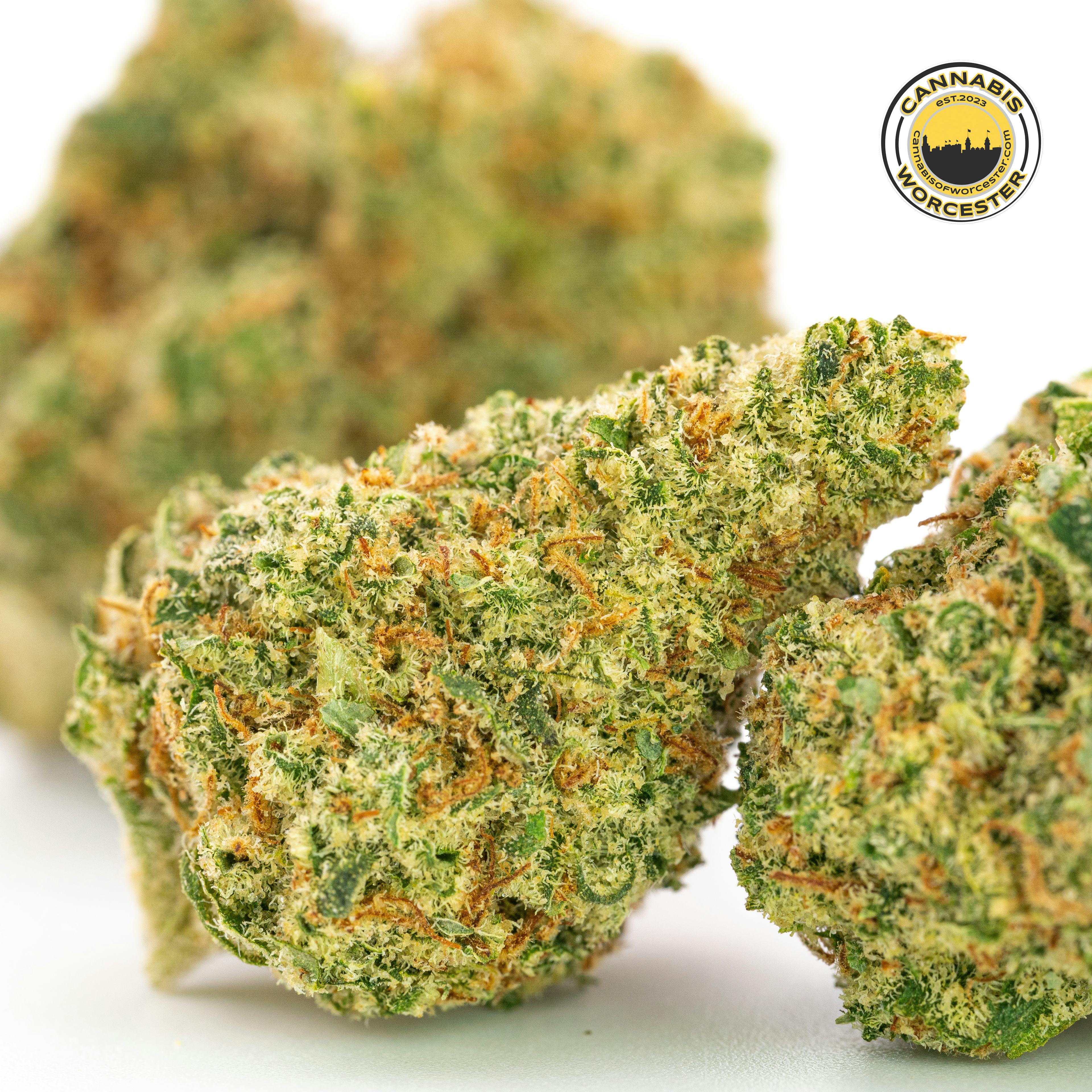 Gilz Nilz (H) | Simply Herb | 3.5g Flower - 3.5g