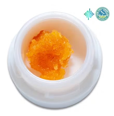 Cape White Shark (H) | Resinate | 1g Sugar