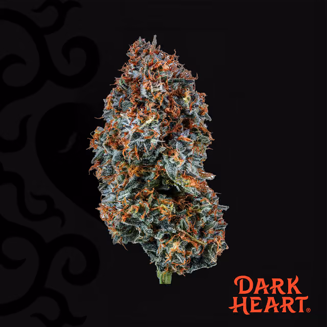 Razzle Dazzle (S) | Dark Heart | 14g Flower