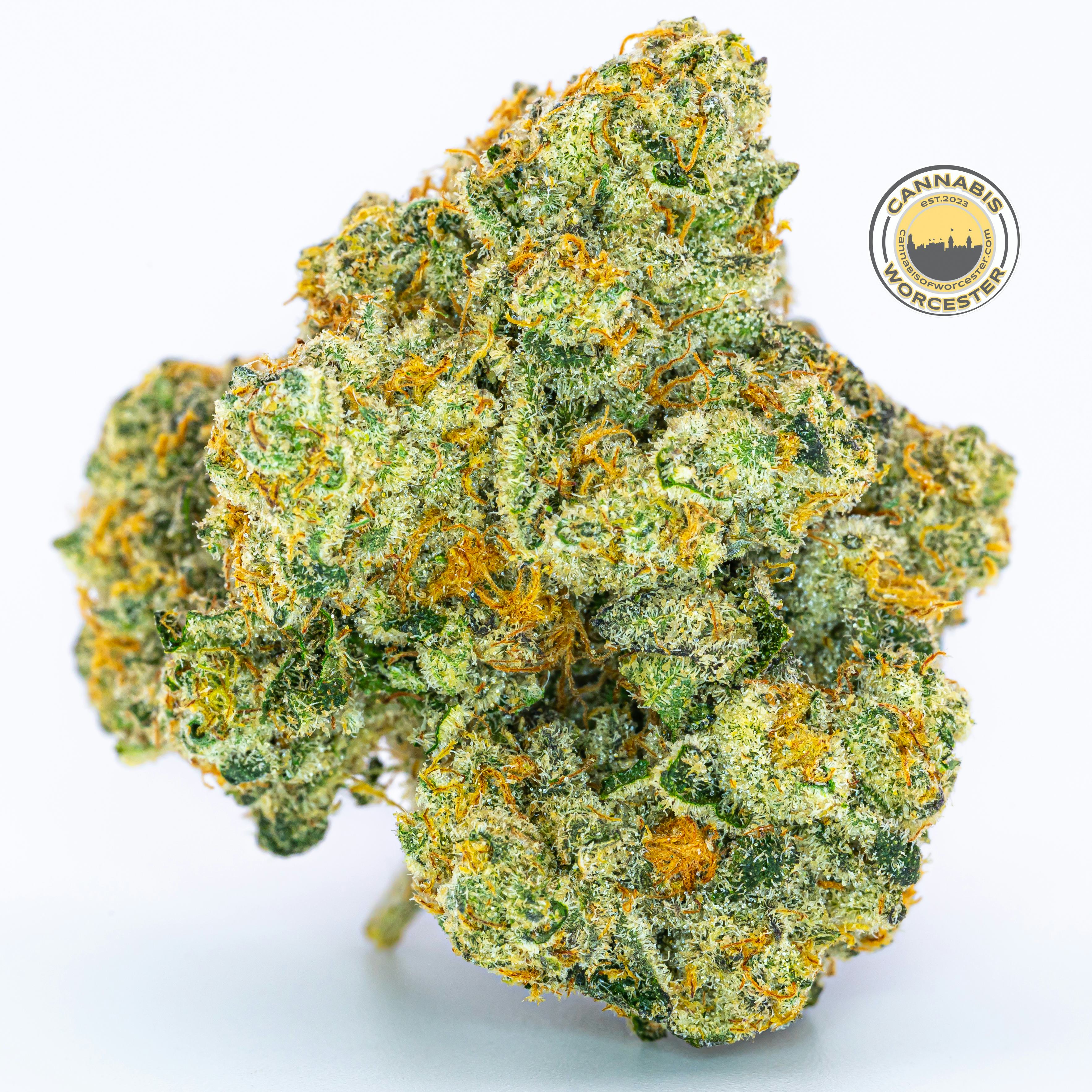 Paytons Pie (IH) | River Run | 3.5g Flower  image (1/2)