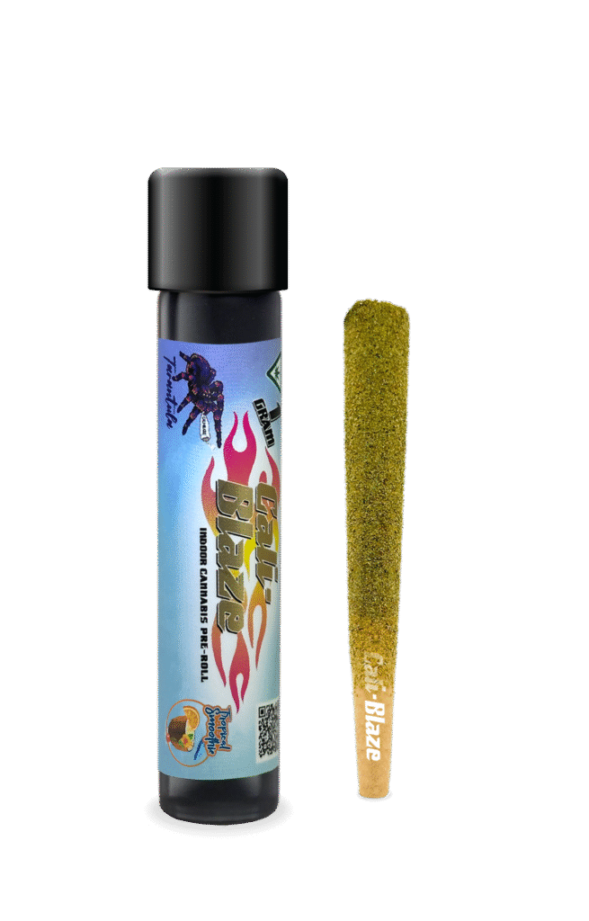 Tropical Smootie (S) | Cali-Blaze Tarantula | 1g Infused Pre-Roll