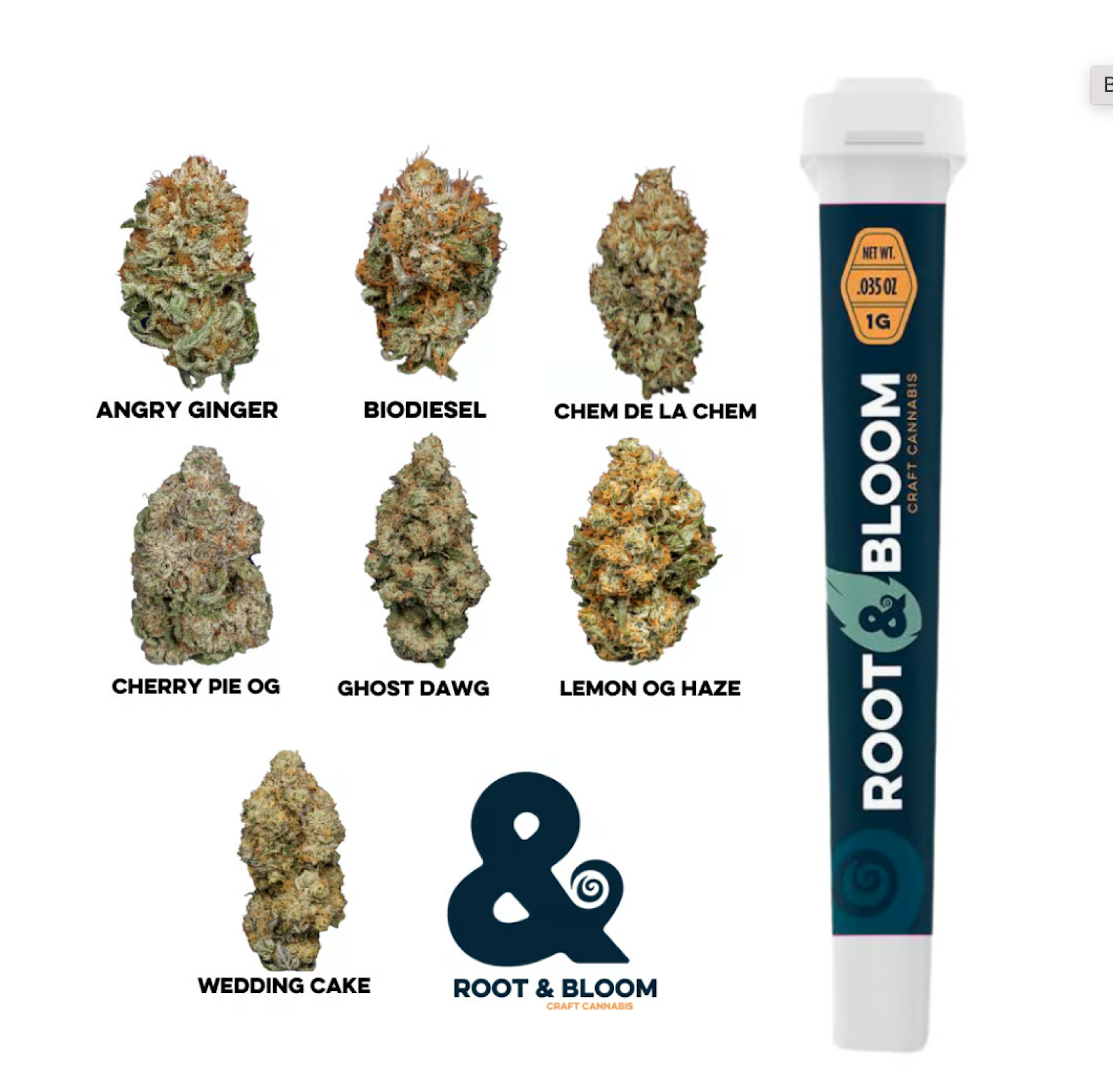 Cherry Pie OG (H) | Root & Bloom | 1.0g PR - 1g