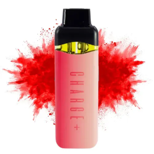 Watermelon Splash x Georgia Pie | Charge Bar | 2g Duo Disposable Vape