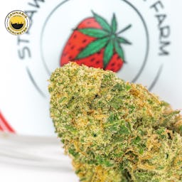 Sour Candy Kush | Strawberryhill Farm | 3.5g CBD Flower  - 0.067mg image (3/5)