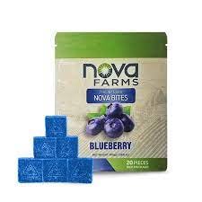 Blueberry (H) | Nova Bites | Gummies | 100 MG - 100mg