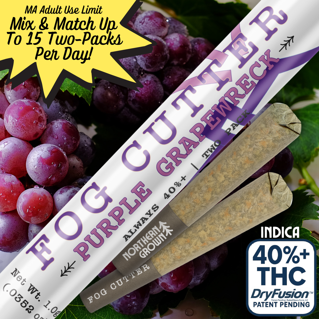 Purple Grapewreck (I) | Fog Cutter | 0.5g 2pk Infused Pre-Rolls