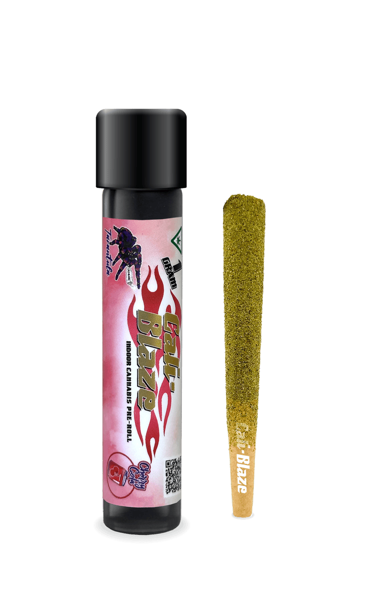 Cherry Cola (H) | Cali-Blaze Tarantula | 1g Infused Pre-Roll