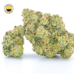 Mint Sherbert () | Fernway | 3.5g Flower - 3.5g image (8/12)