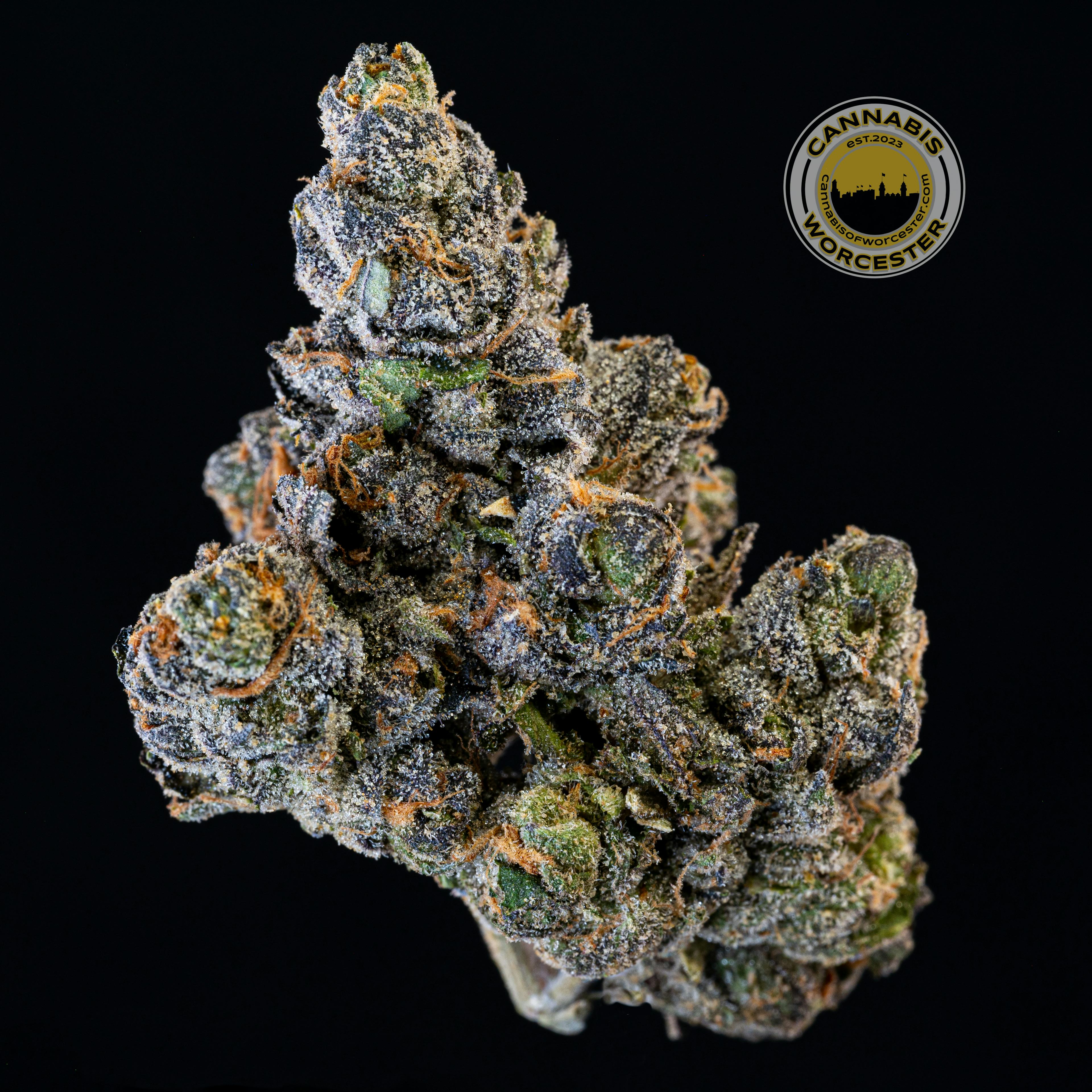 Apples & Bananas (H) | Impressed | 3.5g Flower