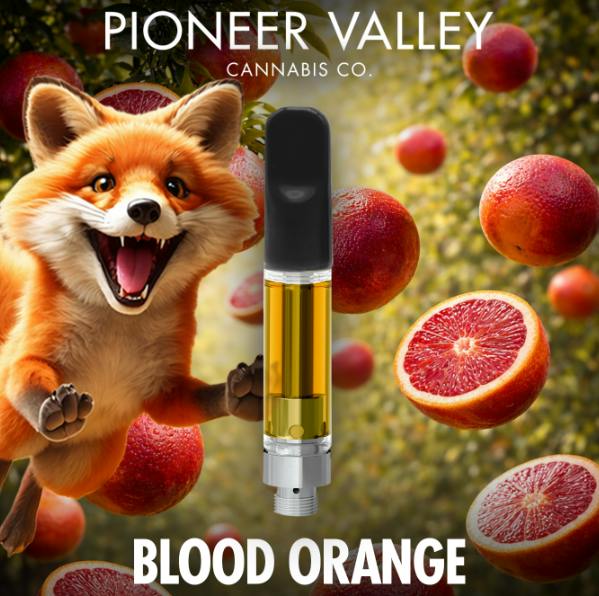 Blood Orange Haze (S) | Pioneer Valley | 1g 510 Cartridge