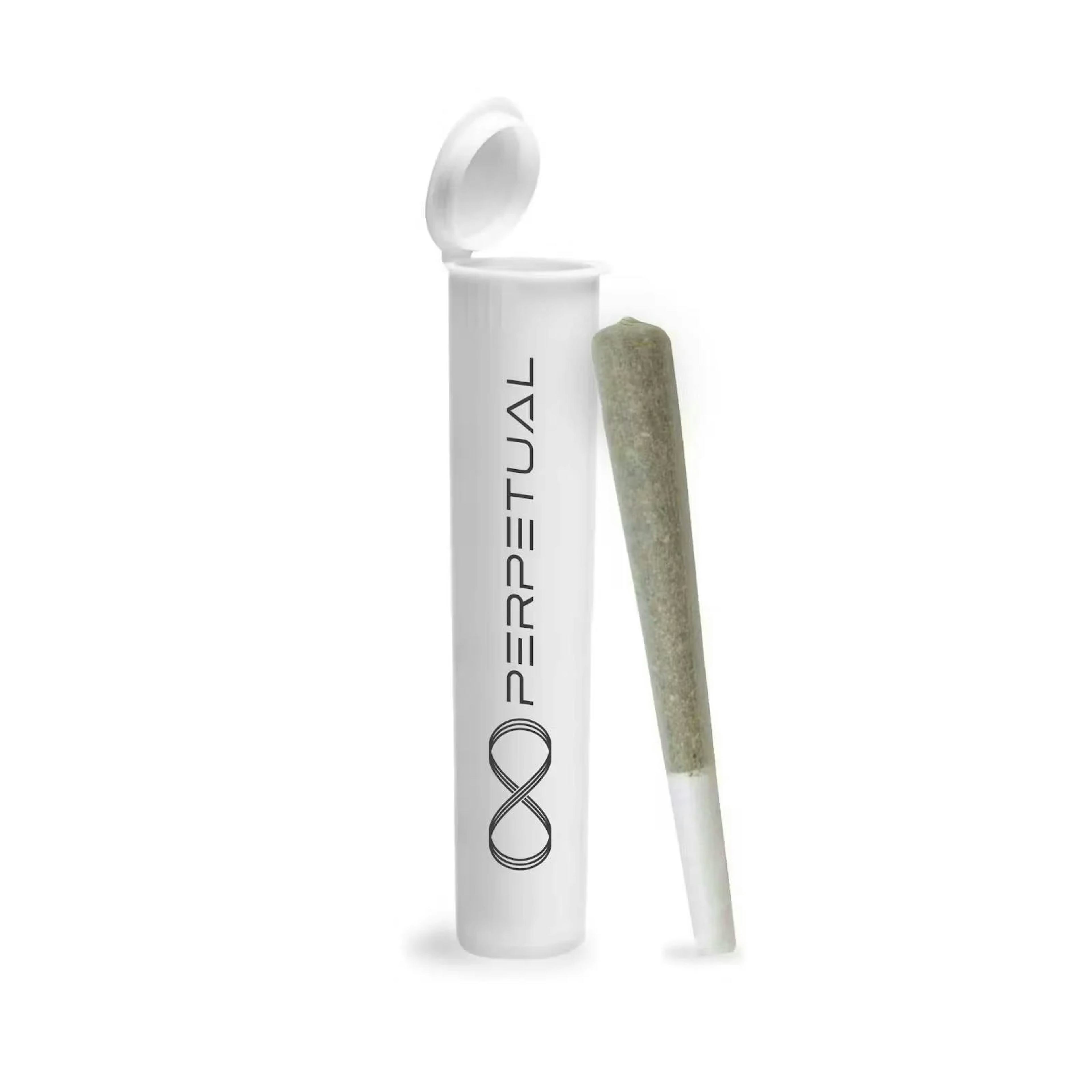 Mean Gene (H) | Perpetual | 1g Preroll