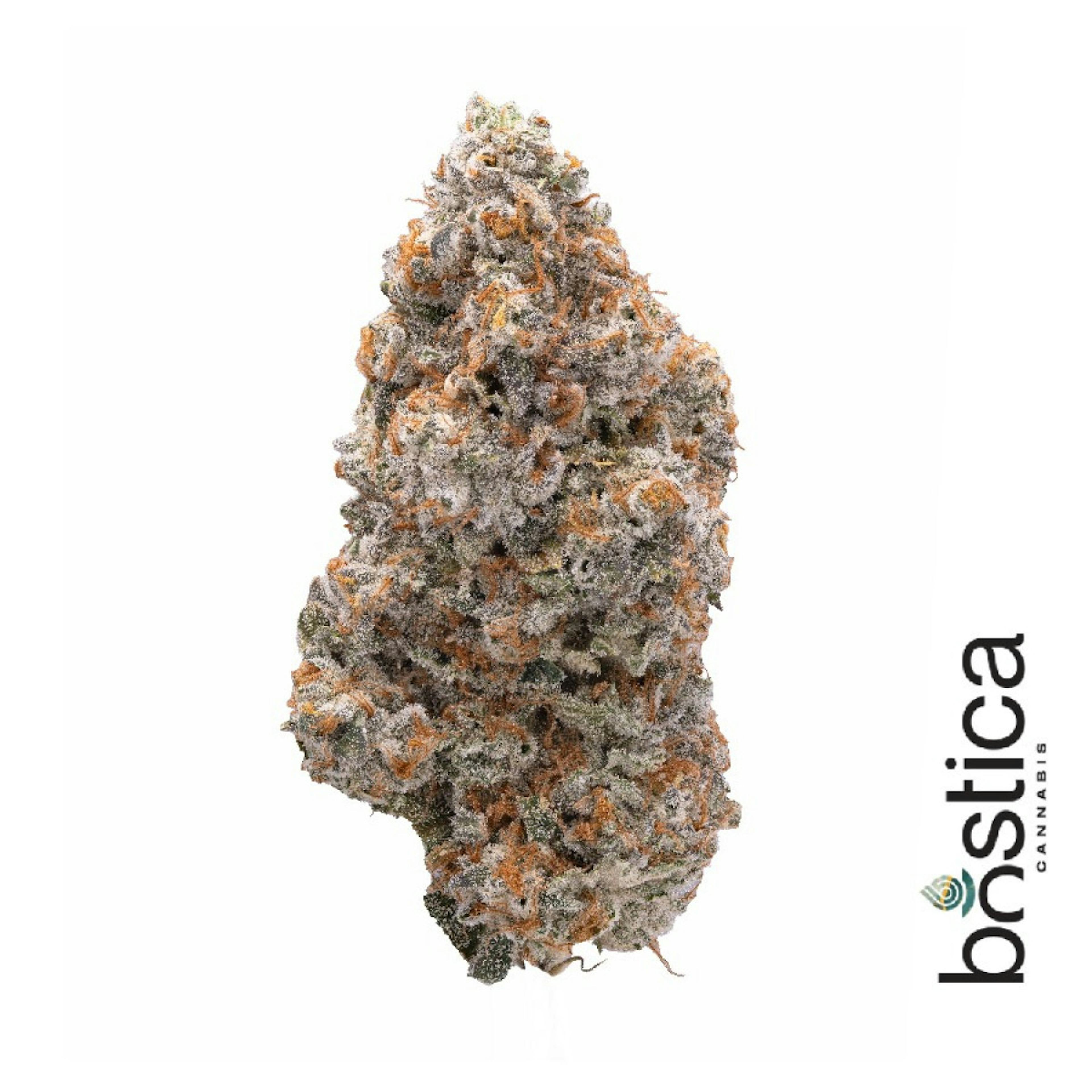 GP4 (IH) | Bostica | 3.5g Flower