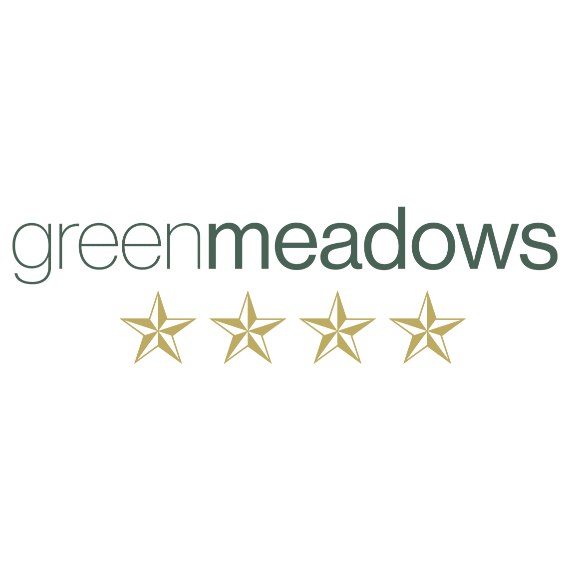 Juana - Spearmint Dips - 5mg 20pk