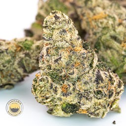 Cinnamon Buddha (I) | Simply Herb | 3.5g Flower - 3.5g image (2/4)