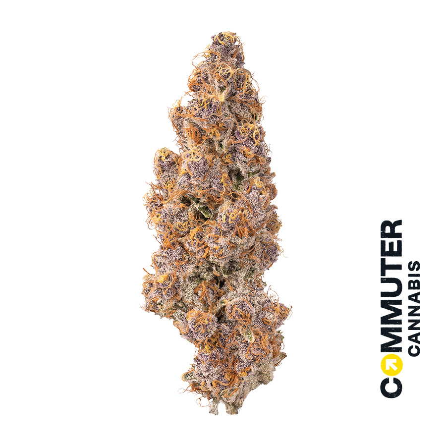 Lemons & Cherries (SH) | Commuter | 3.5g Flower