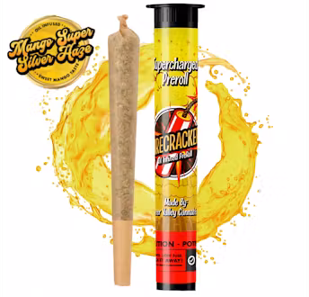 Mango SSH (S) | Pioneer Valley Firecracker | 1g Infused Pre-Roll