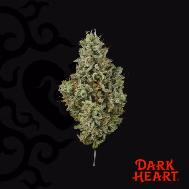 Grandma's House (H) | Dark Heart | 3.5g Flower