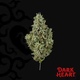 Grandma's House (H) | Dark Heart | 3.5g Flower image (1/2)