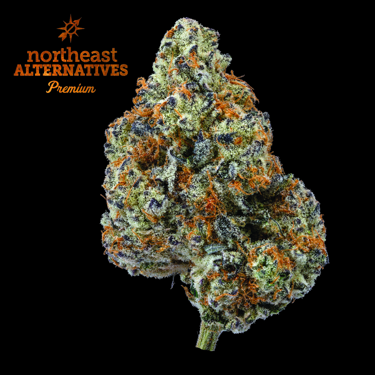 Punch Breath (H) | NEA Premium | 3.5g Flower