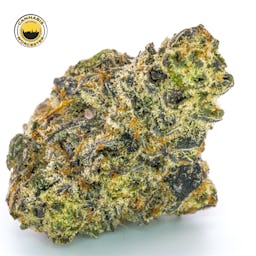 White Truffle () | Fernway | 3.5g Flower - 3.5g image (9/13)