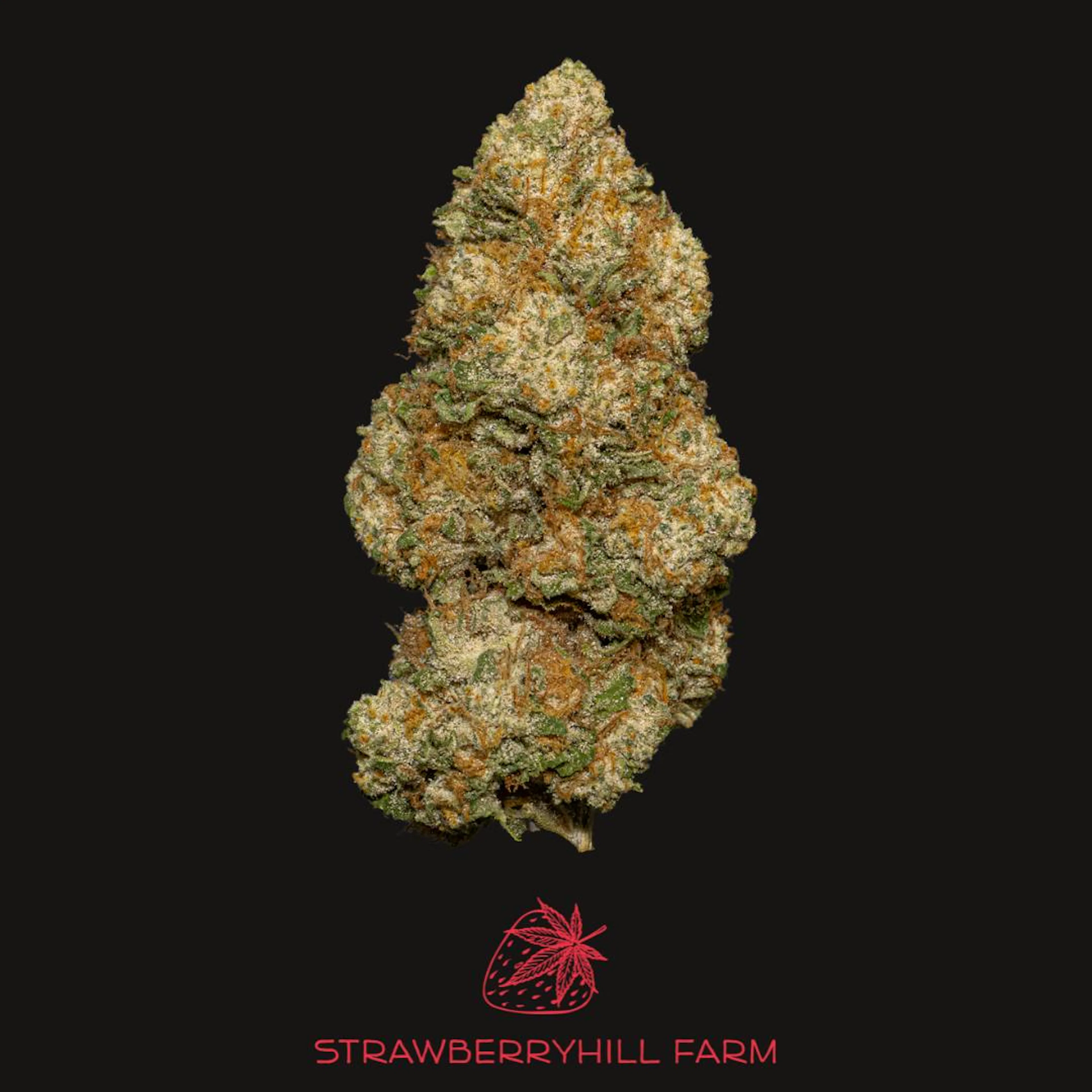 White CBG | Strawberryhill Hemp | 3.5g CBD Flower (NO THC)