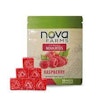 Raspberry (H) | Nova Bites | Gummies | 100 MG