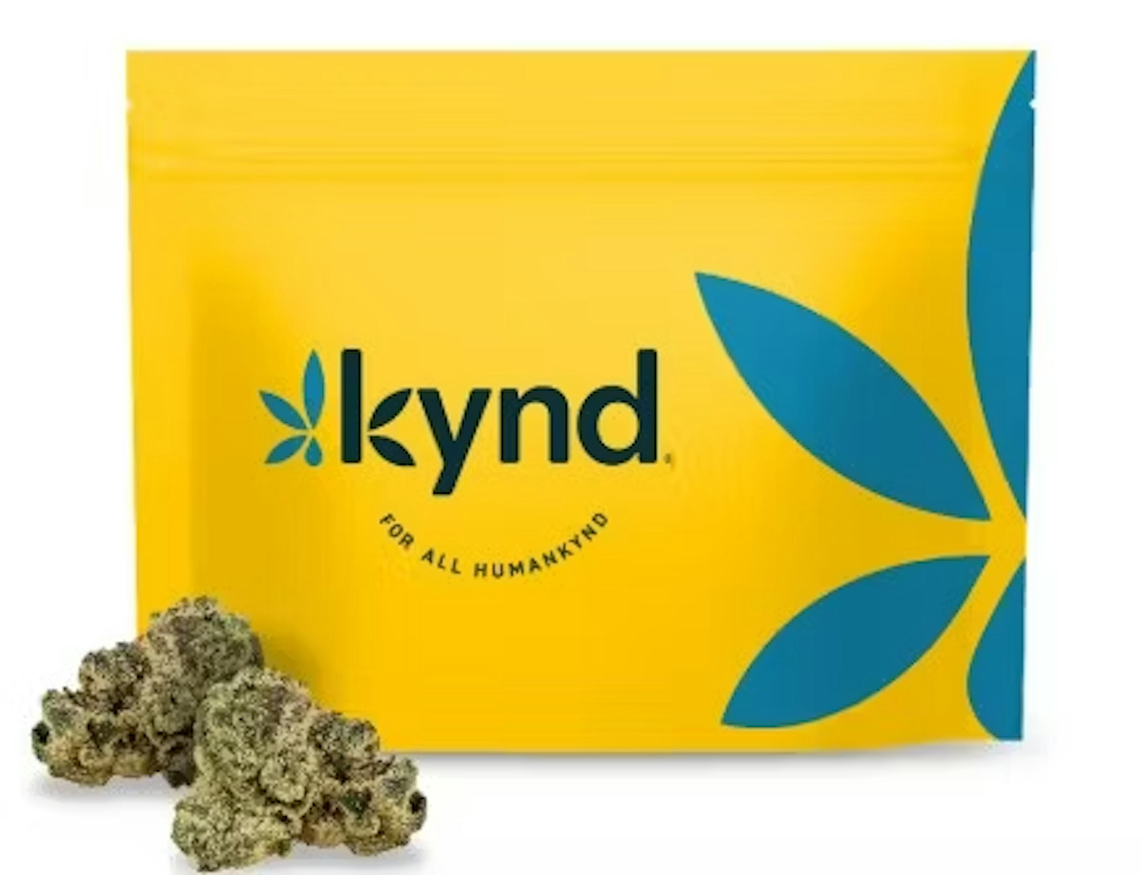 Sour Brunch (H) | Kynd | 3.5g Flower