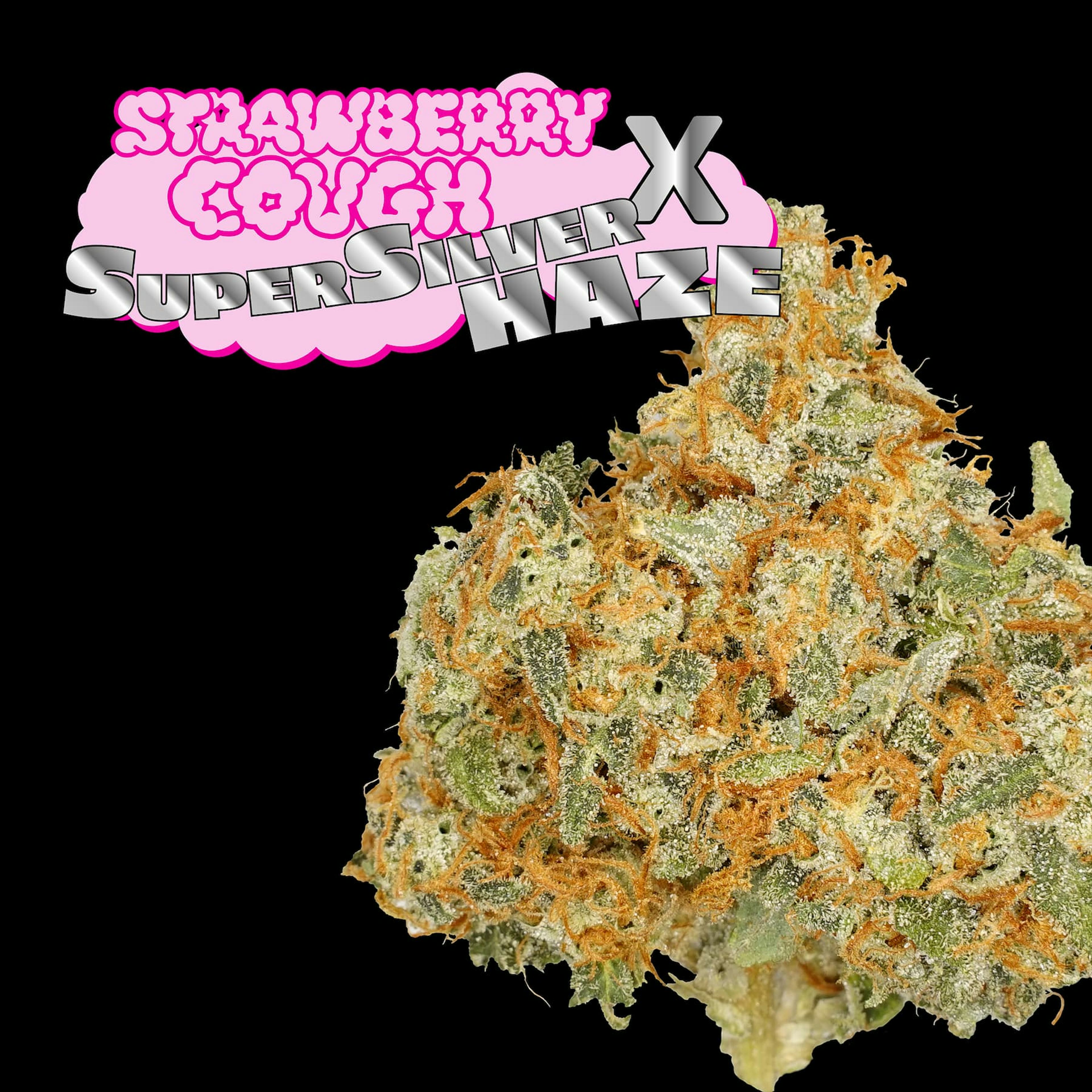 Strawberry Cough x Super Silver Haze (S) | Nimbus | 3.5g Flower