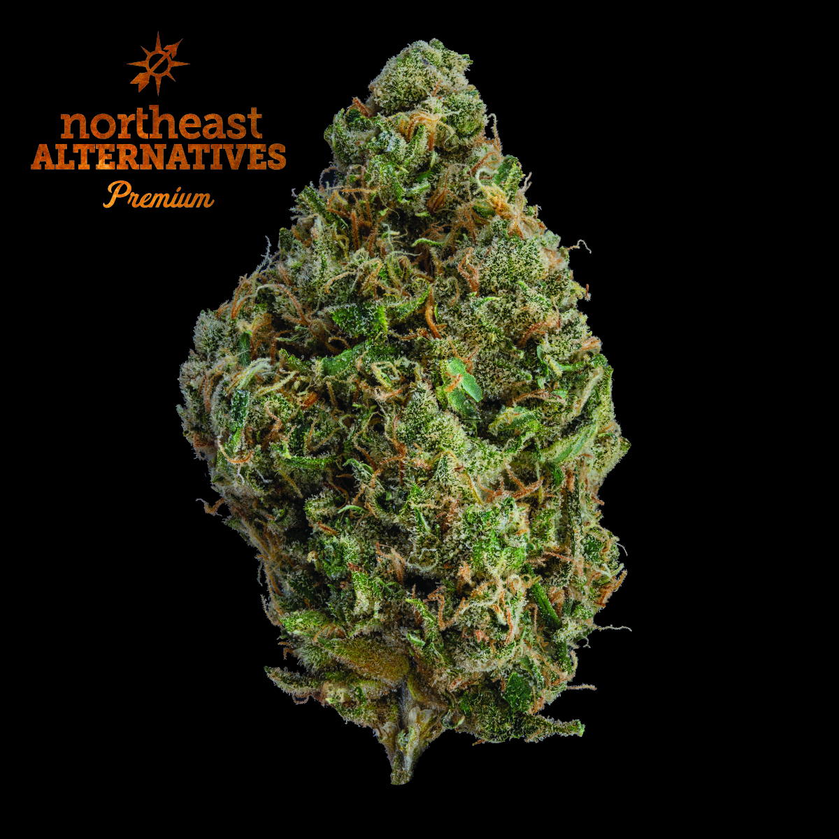 Durban Poison (S) | NEA Premium | 3.5g Flower