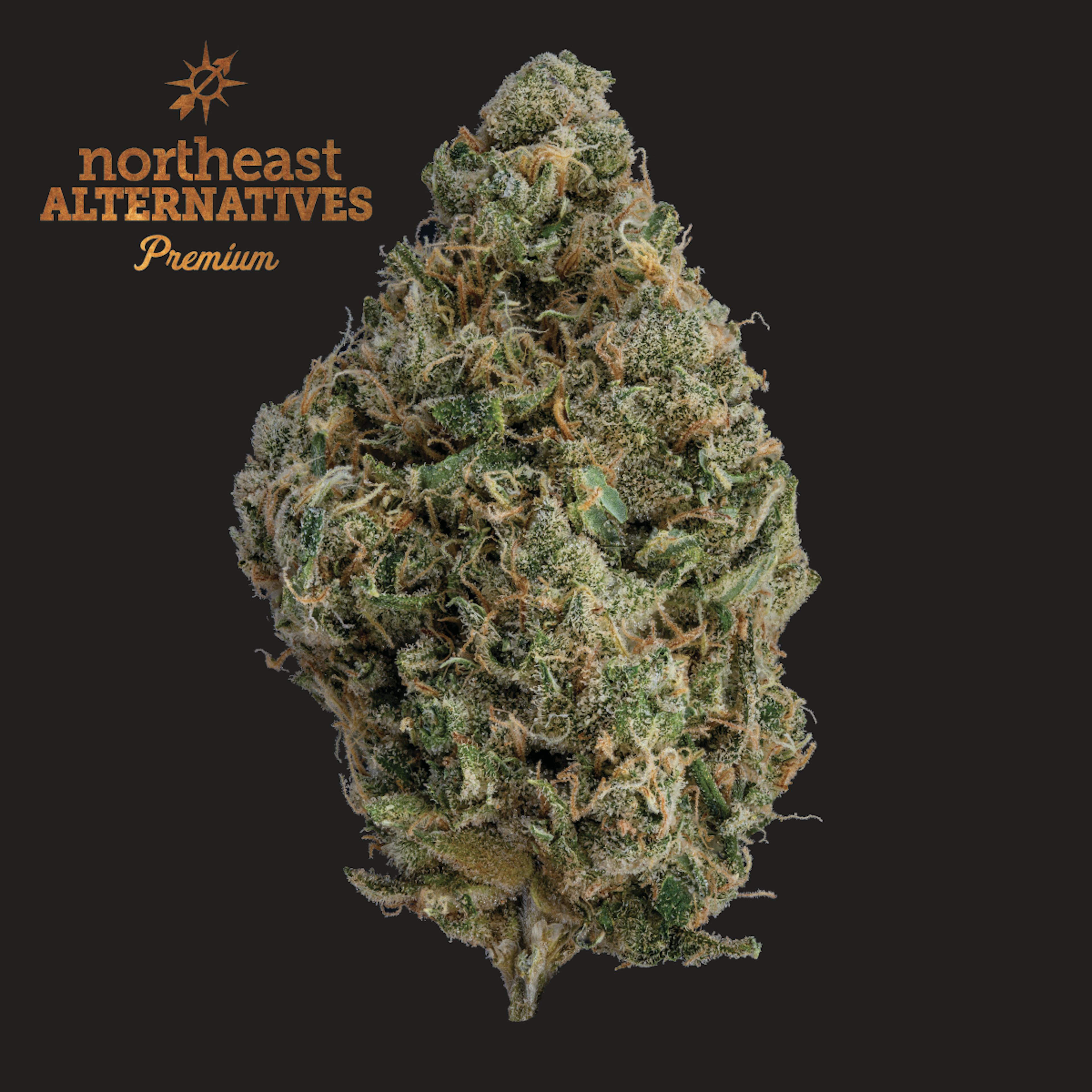 Durban Poison (S) | NEA Premium | 3.5g Flower