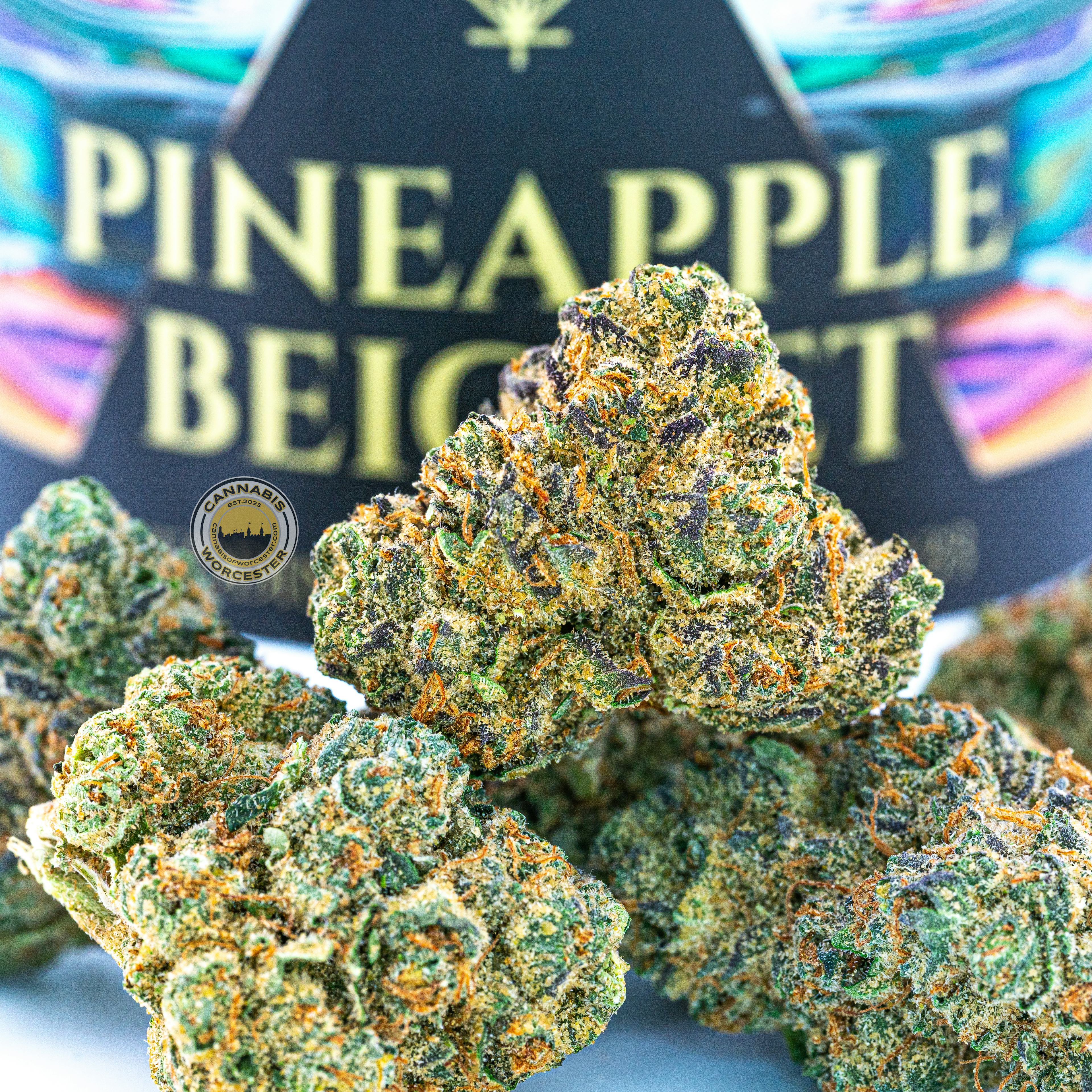Pineapple Beignet (H) | House of Cultivar | 3.5g Flower