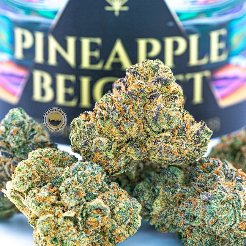 Pineapple (H) House of Cultivar 3.5g Flower Flower