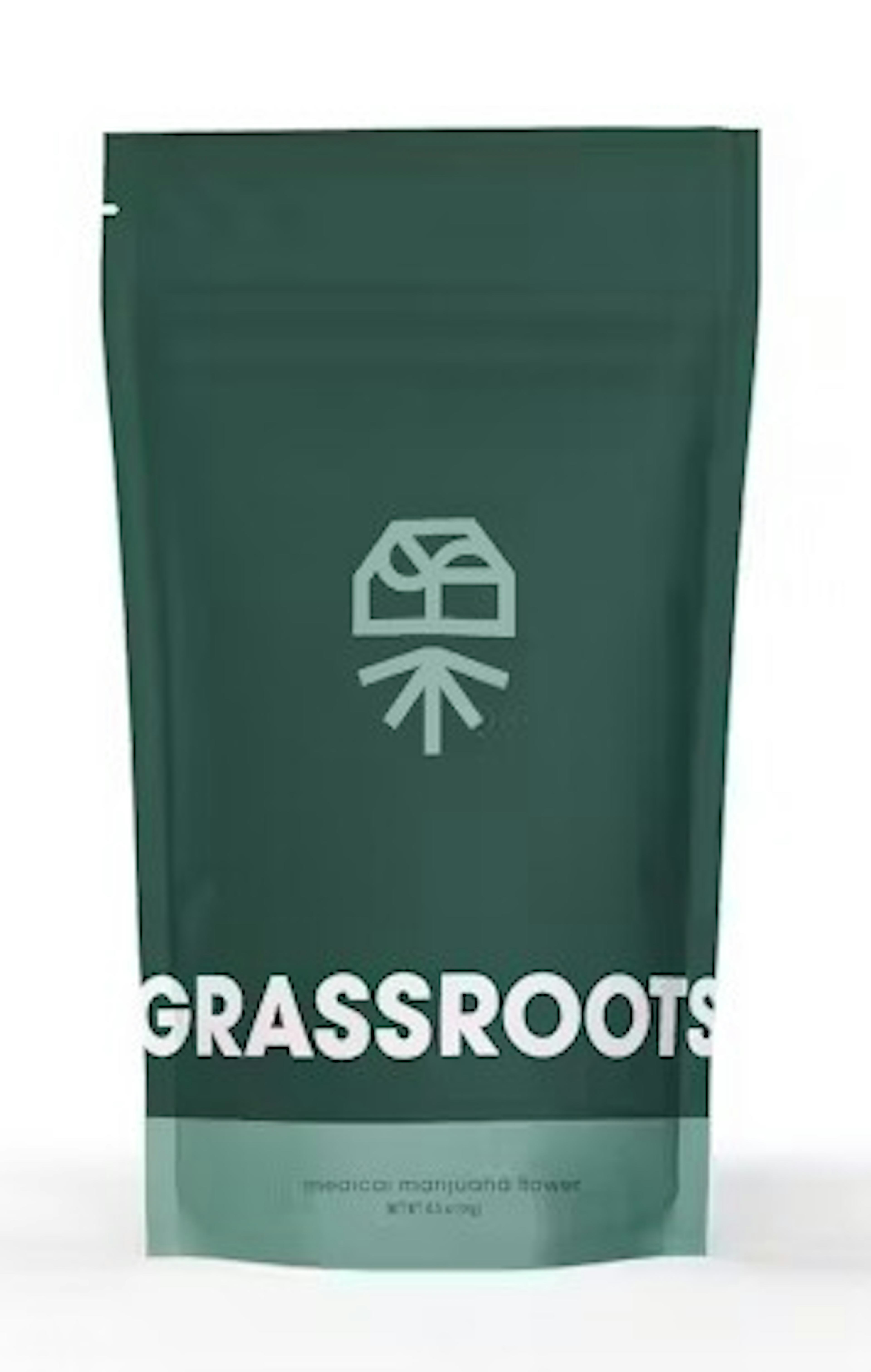 Titan Express (S) | Grassroots | 14g Popcorn Buds